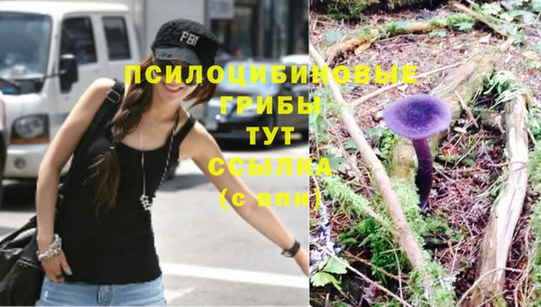 МДПВ Абаза