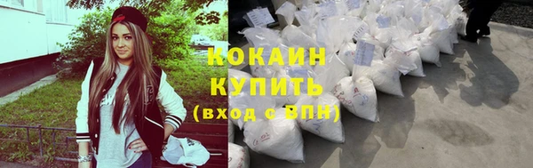 хмурый Осинники