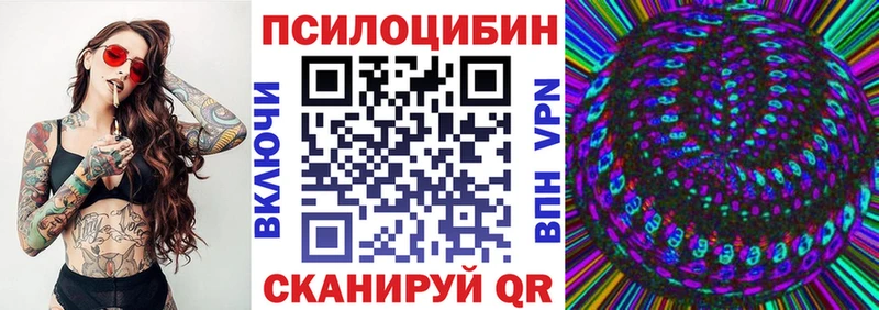 kraken зеркало  где найти   Починок  Псилоцибиновые грибы Psilocybe 